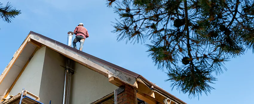 Birds Removal Contractors from Chimney in Kingsland, GA